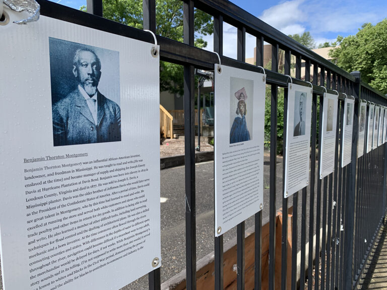 Teaching Fence, Black History = American History = Our History